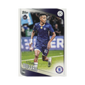 Estêvão Willian collectible card